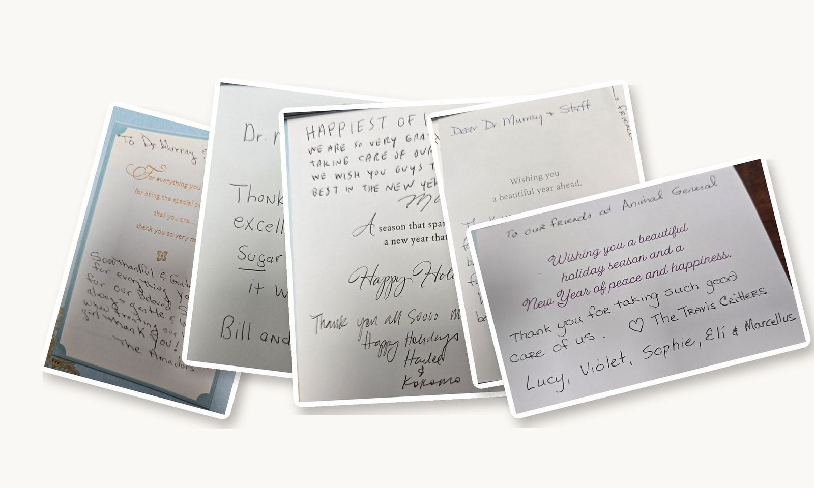 Handwritten thank-you cards from Animal General Hospital clients